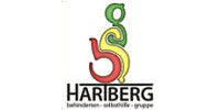 Behinderten Selbsthilfegruppe Hartberg